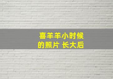 喜羊羊小时候的照片 长大后